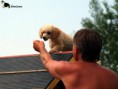 /album/fotogaleria/p8239326-jpg/